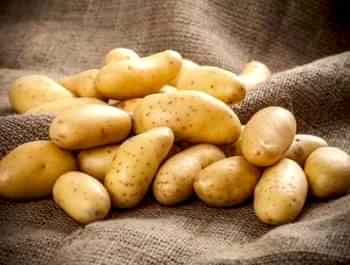 Patates