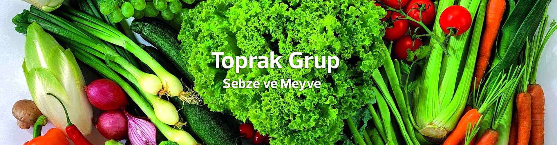 Meyve Sebze