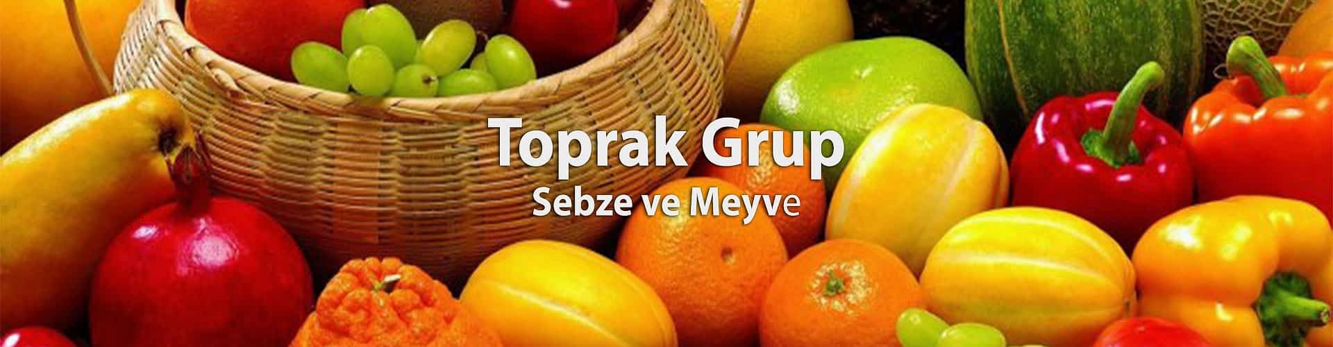 Toprak Grup Toptan Sebze Meyve