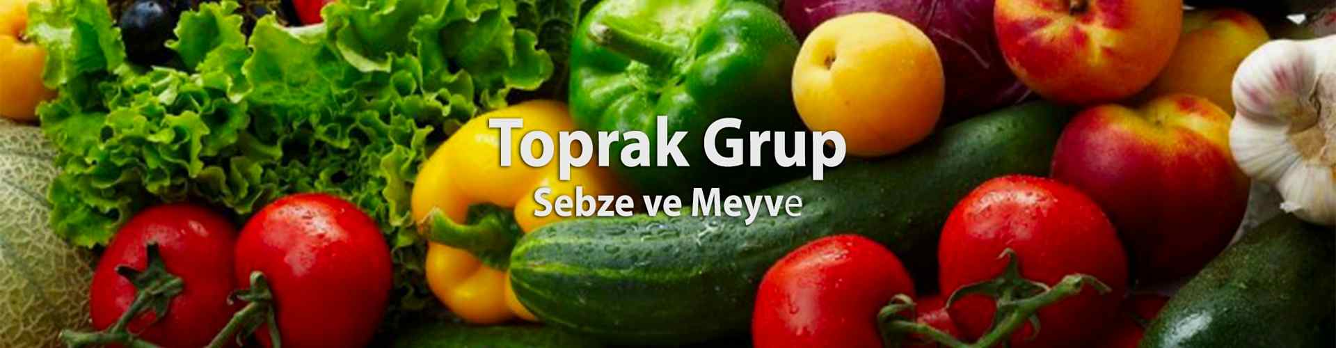 Meyve Sebze 2